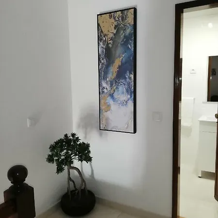 Lejlighed Encantos De Sal Costa Nova